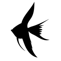 fish silhouette ,on white background, vector