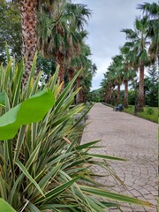 Природа Сочи