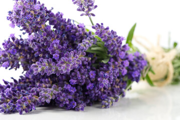 Aromatic Lavender flowers bundle on a white background. Isolated morning Lavender flowers close-up