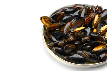 steamed mussels entree. Cooked mussels on white plate on white background deliciousness seafood