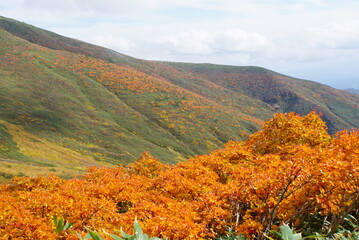 月山の紅葉