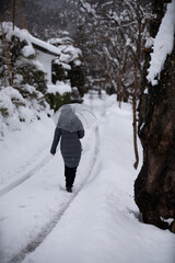Snow trail; a woman with unbrella. A portrait in Japan after a big snow. White; minimalist theme. 