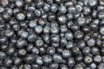 Blueberry background. Ripe berries texture background.