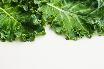 Close up of kale leaves on white background. copy space for text