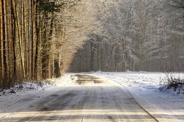 Zimowy, słoneczny dzień. Wąska, prowincjonalna droga w pokrytym śniegiem lesie.