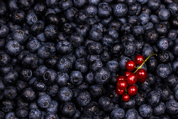 berries background. Ripe blueberry and red currant top view flat lay image.