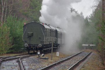 Fototapeta na wymiar Stary, zielony wagon kolejowy ciągnięty przez parowóz pozostawiający za sobą obłoki pary.