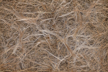 Closeup underside mat overgrown roots mold background