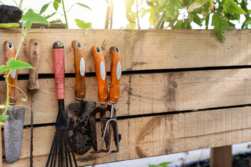 Set of dirt used rusty gardening tools hanging on wooden board background at home garden greenhouse...