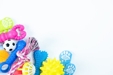 Flat lay composition with accessories for dog and cat on white background. Pet care place for text