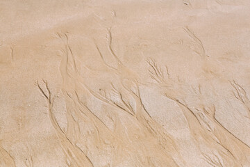 Fototapeta na wymiar Sand texture background. Nature sand top view on beach in summer. Wave pattern on the coast. Close up of some sand on the shore