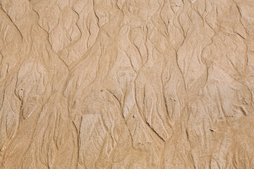 Sand texture background. Nature sand top view on beach in summer. Wave pattern on the coast. Close up of some sand on the shore