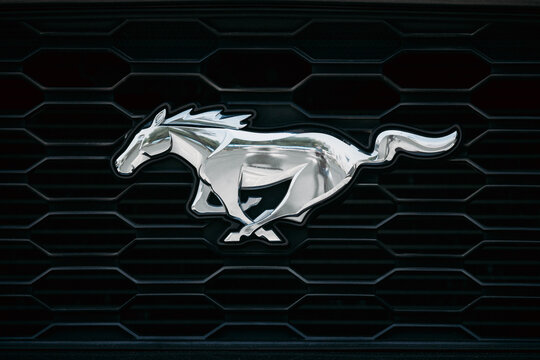 Mustang Logo 이미지 – 찾아보기 20,060 스톡 사진, 벡터 및 비디오 | Adobe Stock