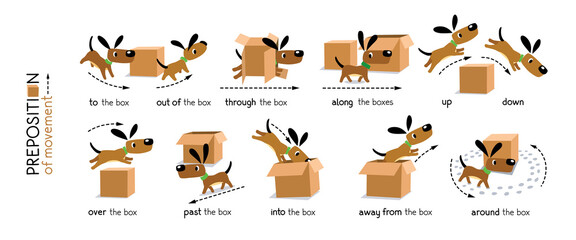Preposition of movement. Dog and the boxes
