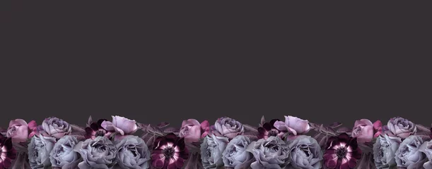 Blumenbanner, Kopfzeile mit Kopierbereich. Lila Rosen und Anemone einzeln auf dunkelgrauem Hintergrund. Natürliche Blumentapete oder Grußkarte. © RinaM