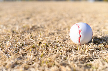 置かれた野球ボール