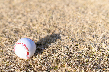 置かれた野球ボール