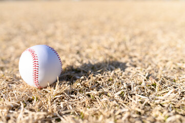置かれた野球ボール