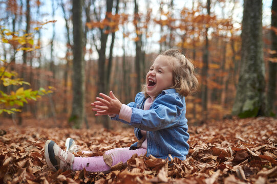 little girl in autumn forest with yellow foliage