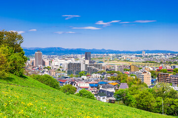 Fototapeta premium 青空が広がる郊外の住宅地