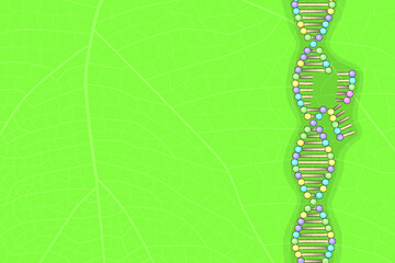 DNA molecule on leaf, vector illustration