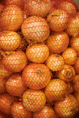 The product raw unpeeled onion is in the grid for sale in the store.