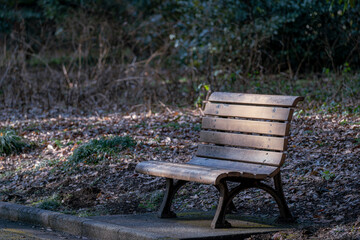 東京都新宿区にある公園の景色