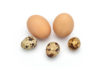 Obraz premium quail and chicken eggs on a white background
