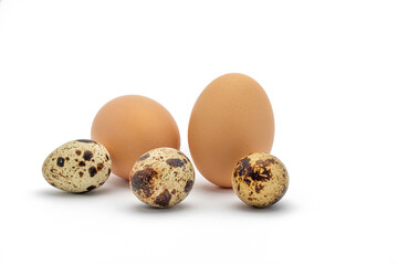 Obraz premium quail and chicken eggs on a white background