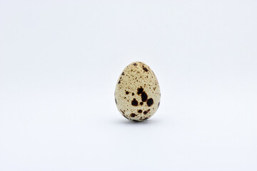 Obraz premium quail egg on a white background