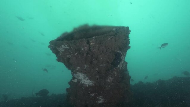 Underwater view of treated wastewater discharging from a sewer pipe into the ocean.