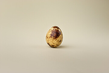 quail egg on a cream background