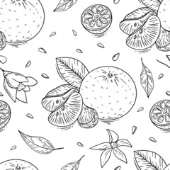 Mandarin fruit hand drawn seamless pattern with black outlines on white background for textile, print, background, highlights. Vector illustration
