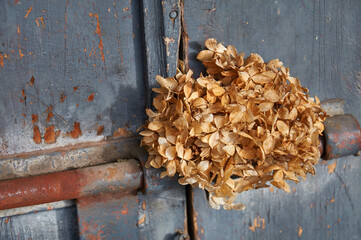Golden leaves, vintage composition. A bouquet of golden leaves. Old door.