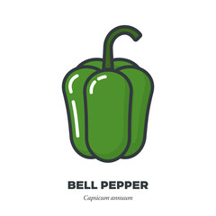 Green bell pepper icon, filled outline style vector illustration