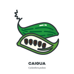 Caigua gourd icon, filled outline style vector illustration