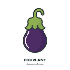 Purple eggplant icon, filled outline style vector illustration