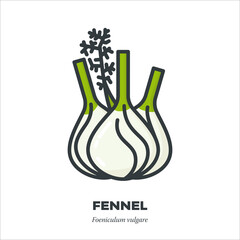 Fennel bulb icon, filled outline style vector illustration