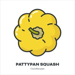 Yellow Pattypan squash icon, top view, filled outline style vector illustration