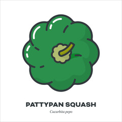 Green Pattypan squash top view icon, filled outline style vector illustration
