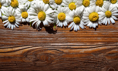 chamomile on a wooden table