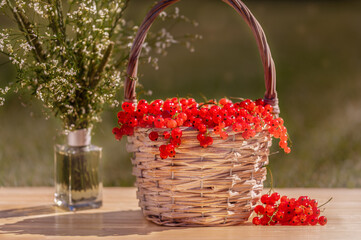Basket with red berries and flowers