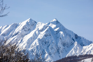 snow covered mountains