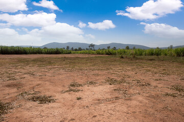 Fototapeta na wymiar Empty dry cracked swamp reclamation soil, land plot for housing construction project with car tire print in rural area and beautiful blue sky with fresh air Land for sales landscape concept