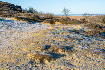 Blick über eine Düne mit Reif bedeckt im Naturschutzgebiet Morsum Kliff  in der Sonne, Insel Sylt