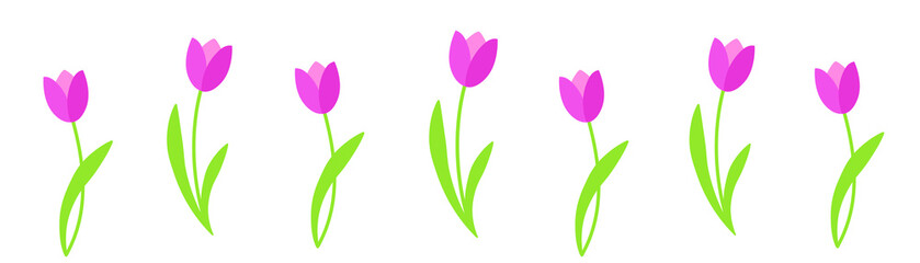 Tulips vector hand drawn. 8 March greeting illustration. Women`s day
