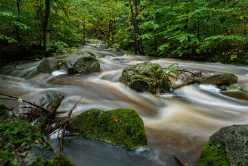 Die wilde Holtemme im Harz