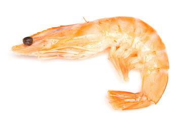 Red shrimps isolated on white background.