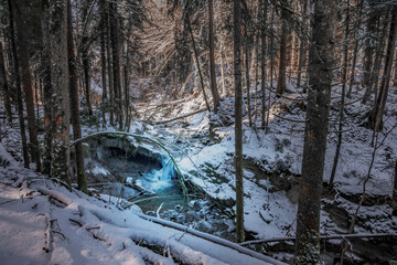 forest in winter in Weiler-Simmerberg