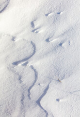 Snowy crust as an abstract background.